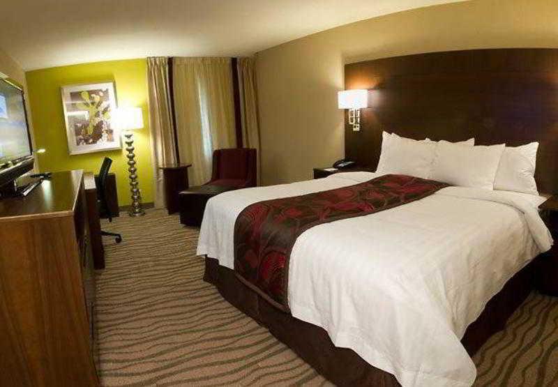 Fairfield Inn & Suites By Marriott Dallas Dfw Airport South/Irving Habitación foto